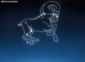 2025年星座运势揭秘：白羊金牛双子狮，事业财运双赢攻略