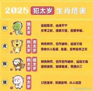 2025年生肖星座事业财运双丰收展望