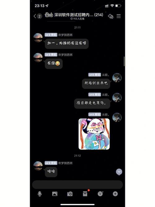 科技与文化交融：揭秘测配软件魅力