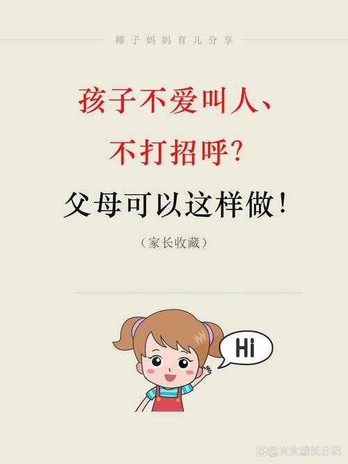 内向者社交指南：突破自我，绽放光芒