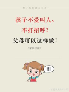 内向者社交指南：突破自我，绽放光芒