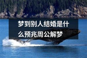 解析梦见婚礼不快乐：心理密码与人生启示