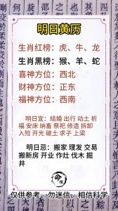 2025年生肖星座运势高峰：机遇挑战并存，四大生肖闪耀时刻！