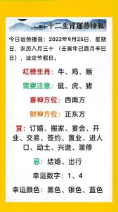 12生肖今日运势解析：圣诞佳节运势指南