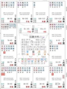 紫微斗数揭秘：案例57命盘财富健康之谜