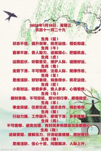 2024水兔运势揭秘：新年吉星高照，智慧好运相伴！