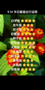 2025年运势爆表：白羊金牛狮子处女四大星座迎来高峰！