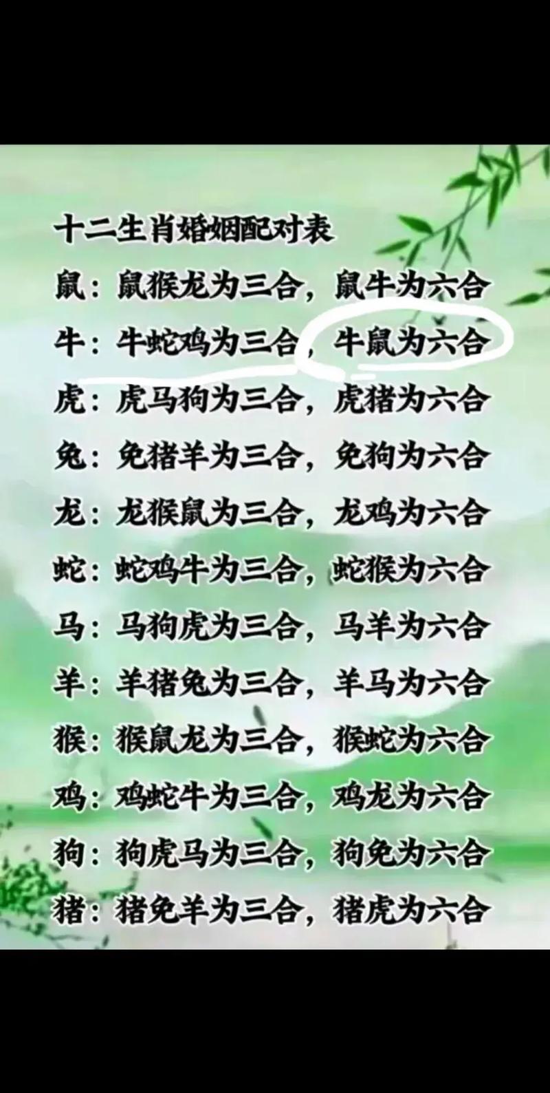 12月中旬运势大揭秘：猪鸡蛇运势飙升，桃花财运双丰收！