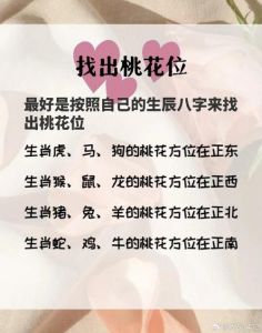 桃花位取法与运用原则揭秘