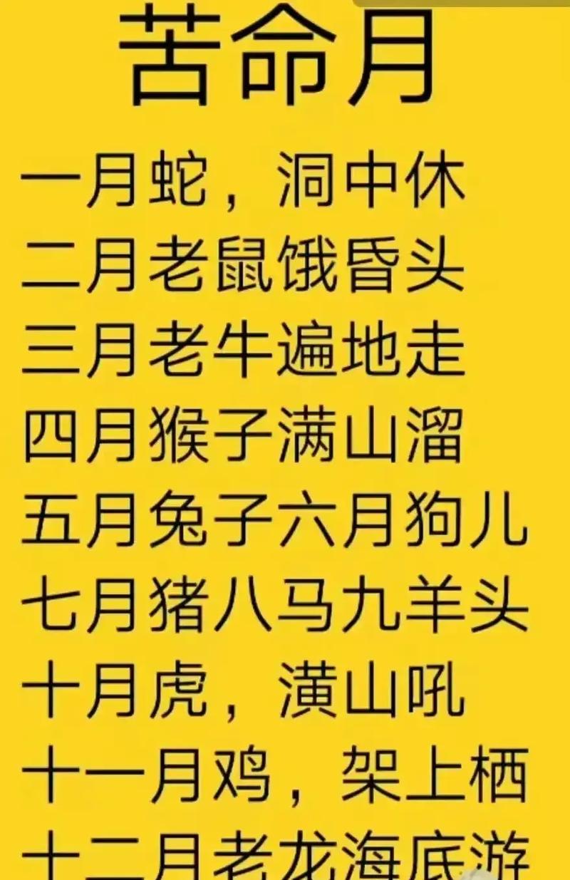 12月生肖蛇马猪事业爱情双丰收，智慧勇往直前迎幸福！
