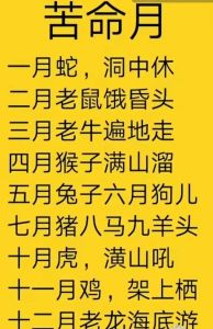 12月生肖蛇马猪事业爱情双丰收，智慧勇往直前迎幸福！