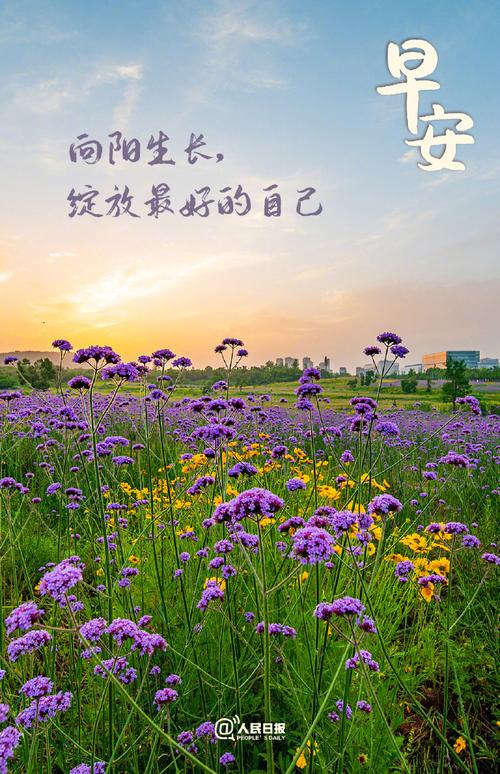 塑造好运：努力健康与积极心态的力量