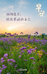 塑造好运：努力健康与积极心态的力量