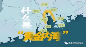 四大生肖黄金机遇：事业腾飞，财运亨通！