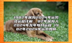 2025年属狗运势揭秘：事业财运感情健康全解析