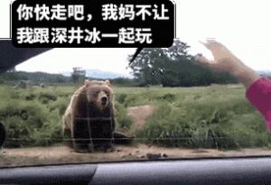 创意摄影：树下的神秘手工沙漠冰棍雪景的艺术探秘