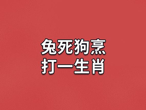 生肖兔狗羊：情感劳模的自我关怀之道