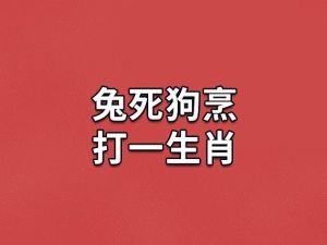 生肖兔狗羊：情感劳模的自我关怀之道