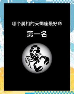11月14日天蝎：揭秘神秘特质与人生建议
