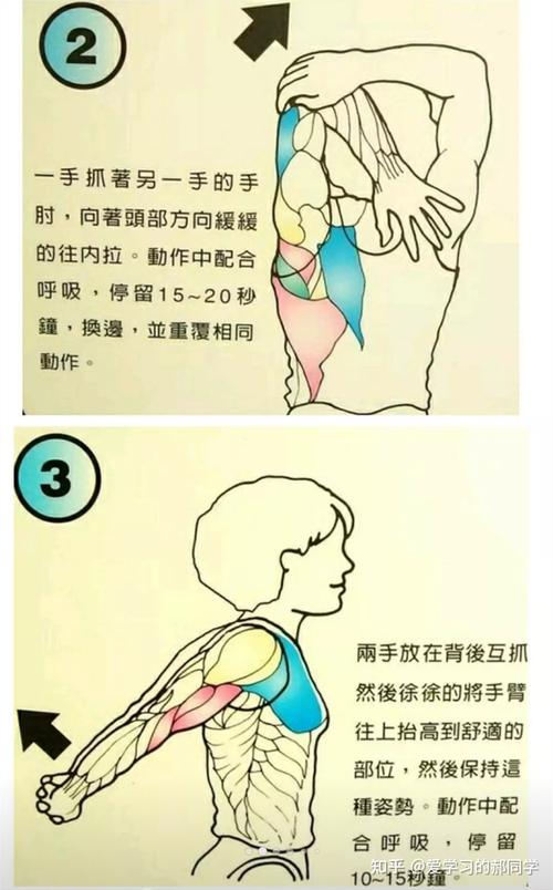 提升背部柔韧性，双手互拉不再是难题！