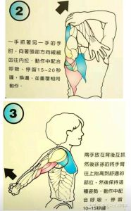 提升背部柔韧性，双手互拉不再是难题！