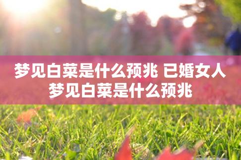 梦境揭秘：二次婚礼背后的心理奥秘
