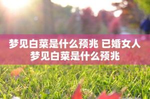 梦境揭秘：二次婚礼背后的心理奥秘