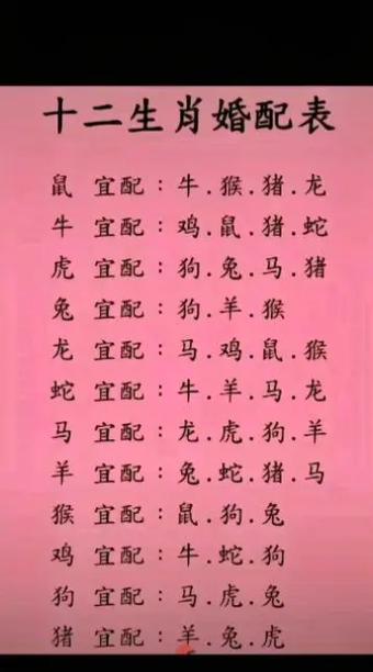 生肖爱情传奇：鼠羊虎成长之旅