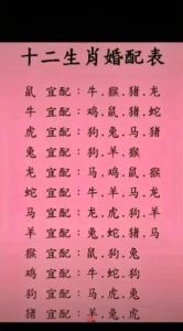 生肖爱情传奇：鼠羊虎成长之旅