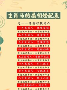 12月27日生肖运势：鼠鸡蛇大放异彩，揭秘干支奥秘！