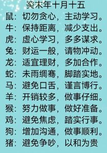12月27日生肖运势：把握机遇，规划成功日