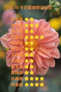 2025年星座生肖运势：奋斗财运，迎接辉煌未来！