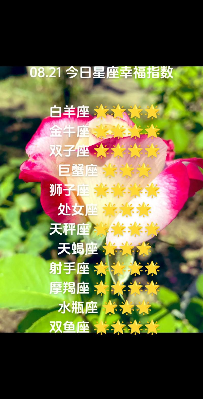 2025年星座运势：白羊金牛双丰收，双子巨蟹幸福守护