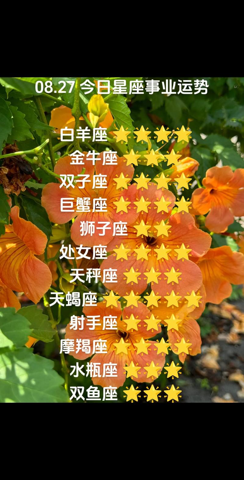 2025年星座运势：白羊金牛狮子天蝎看涨，财运事业大爆发！