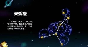 揭秘轻浮外表下的真诚星座内心世界