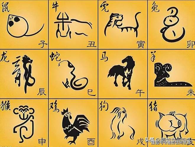 2025生肖飞跃：鼠虎龙猴蜕变传奇！