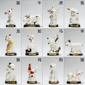 生肖爱情财运揭秘：鼠牛虎兔各显神通