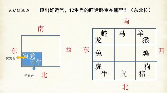 生肖揭秘：如何后天培养好运体质 好运培养计划