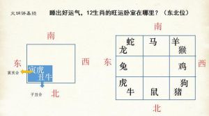生肖揭秘：如何后天培养好运体质 好运培养计划