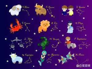 2025年星座生肖运势解析：白羊冲刺处女完美蛇智虎勇！