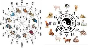 2025年生肖鼠龙猴及狮子座财运事业双丰收指南