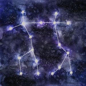 2025年生肖星座桃花财运：双丰收美好未来！
