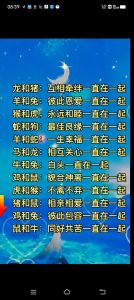 2025年星座生肖运势揭秘：如何把握机遇与挑战