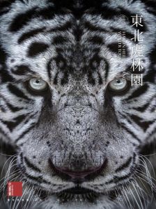 12月28日生肖运势：虎马狗旺，蛇猪低迷，周末休闲指南