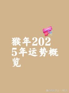 2025年生肖运势：贵人助力，运势起伏大揭秘！