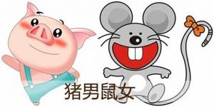 2025年生肖运势：贵人助力，属鼠至猪运势详解