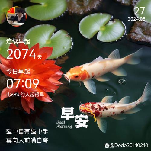 稳心态迎挑战，把握今日运势秘诀