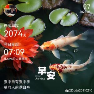 稳心态迎挑战，把握今日运势秘诀