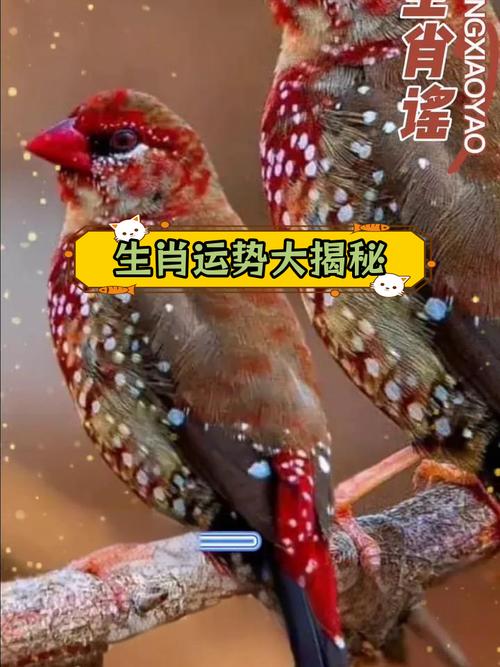 12月28日生肖运势揭秘：福星高照，运势高峰来袭！