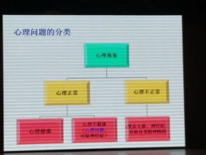 揭秘心理问题三大类型与康复五阶段，共建和谐心理世界